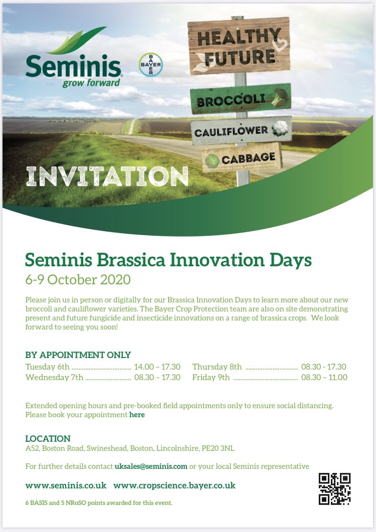 Pest pressure building in the untreated areas of the crop protection plots at the <a href="/Bayer4CropsUK/">Bayer Crop Science UK</a> <a href="/SeminisSeeds/">Seminis Seeds-US/CA</a> brassica demo site. #BayerFieldDays