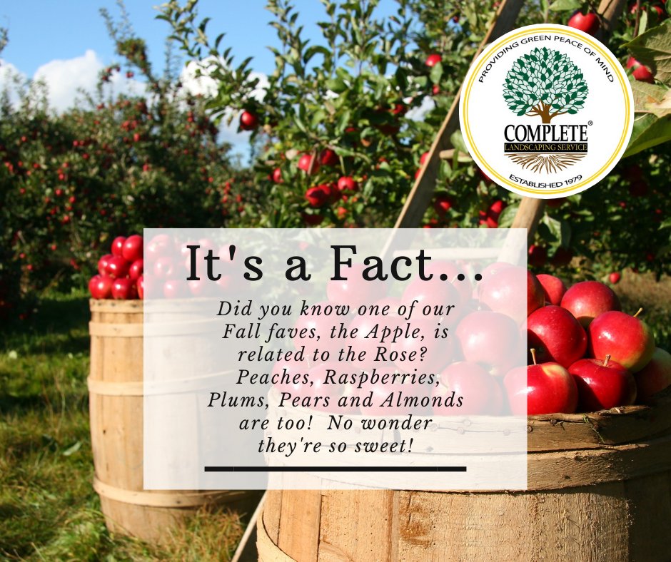"A rose by any other name would smell as sweet" - Shakespeare

It's #funfactFriday! Bringing you interesting facts about nature and landscaping.  #greenpeaceofmind