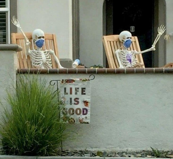 laughterreport's tweet image. We're glad to see 2020 isn't treating everyone badly.
-
Wake up to laughter @ LaughterReport.com
Daily roundup of the internet's funniest content. In your inbox Mon-Fri by 9am. 
-
#memes  #funny #funnymemes #2020memes #2020