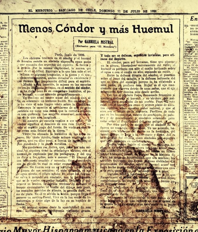 Viva Chile!! 🇨🇱