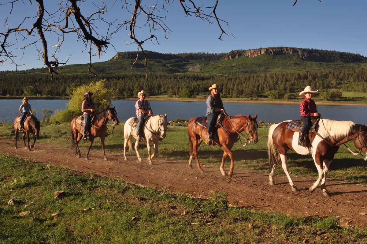 Horseback riding in Colorado has opened. What a great way to get out & social distance. Enjoy Colorado's beautiful landscape on horseback. Please check out our websites to find an outfitter. They all have guidelines for your safety ColoradoMountainActivities.com ActivitiesColorado.com