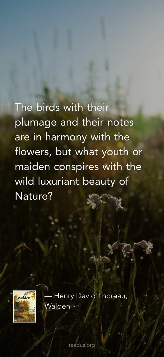 ReadusOrg's tweet image. The birds with their plumage and their notes are in harmony with the flowers, but what youth or maiden conspires with the wild luxuriant beauty of Nature? 

— Henry David Thoreau, Walden
readus.org/books/61a31f5e…