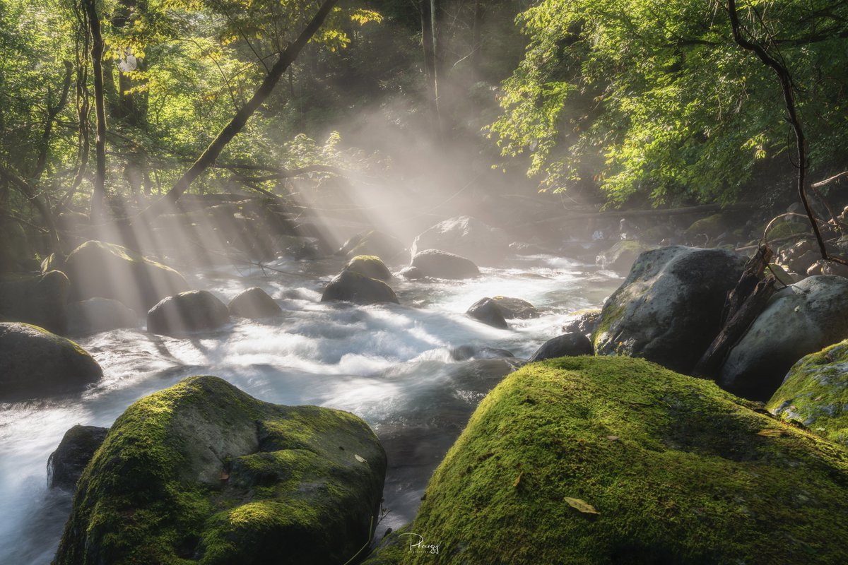 phaengy's tweet image. 光芒が美しい～

#東京カメラ部
#PASHADELIC 
#絶景delic 
#SonyAlpha