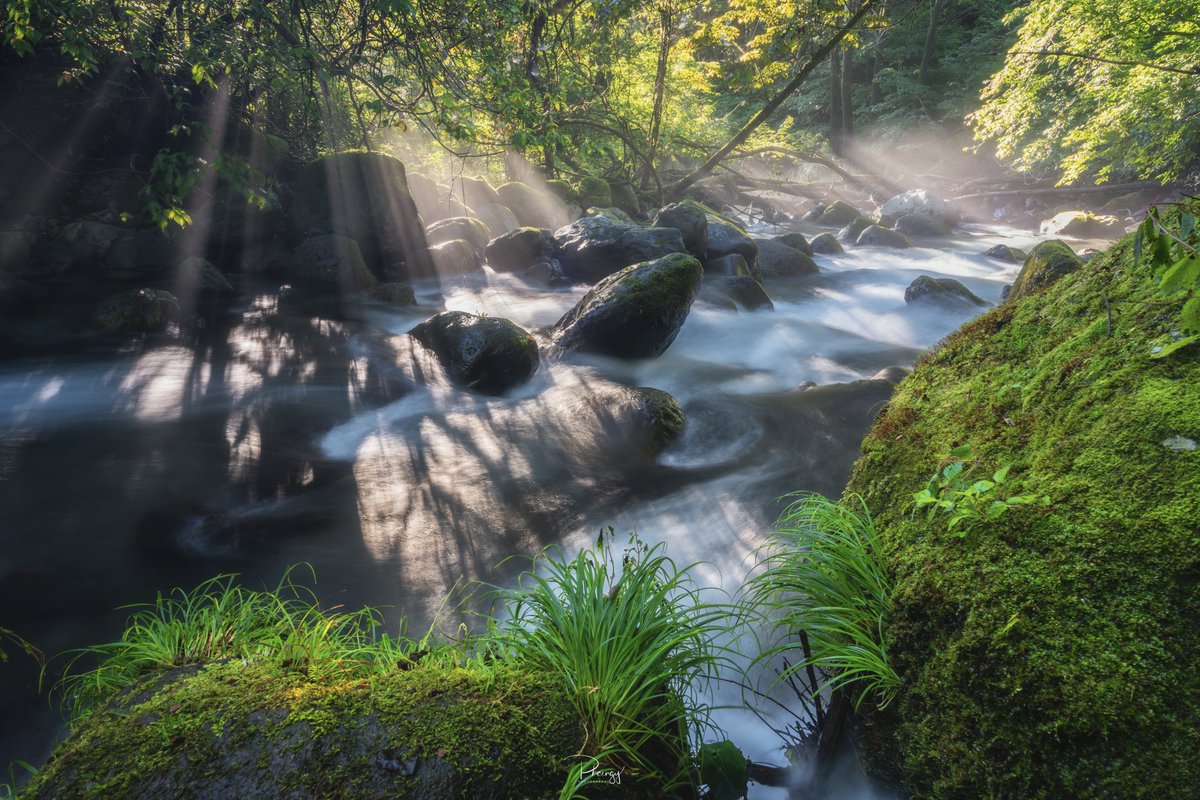 phaengy's tweet image. 光芒が美しい～

#東京カメラ部
#PASHADELIC 
#絶景delic 
#SonyAlpha