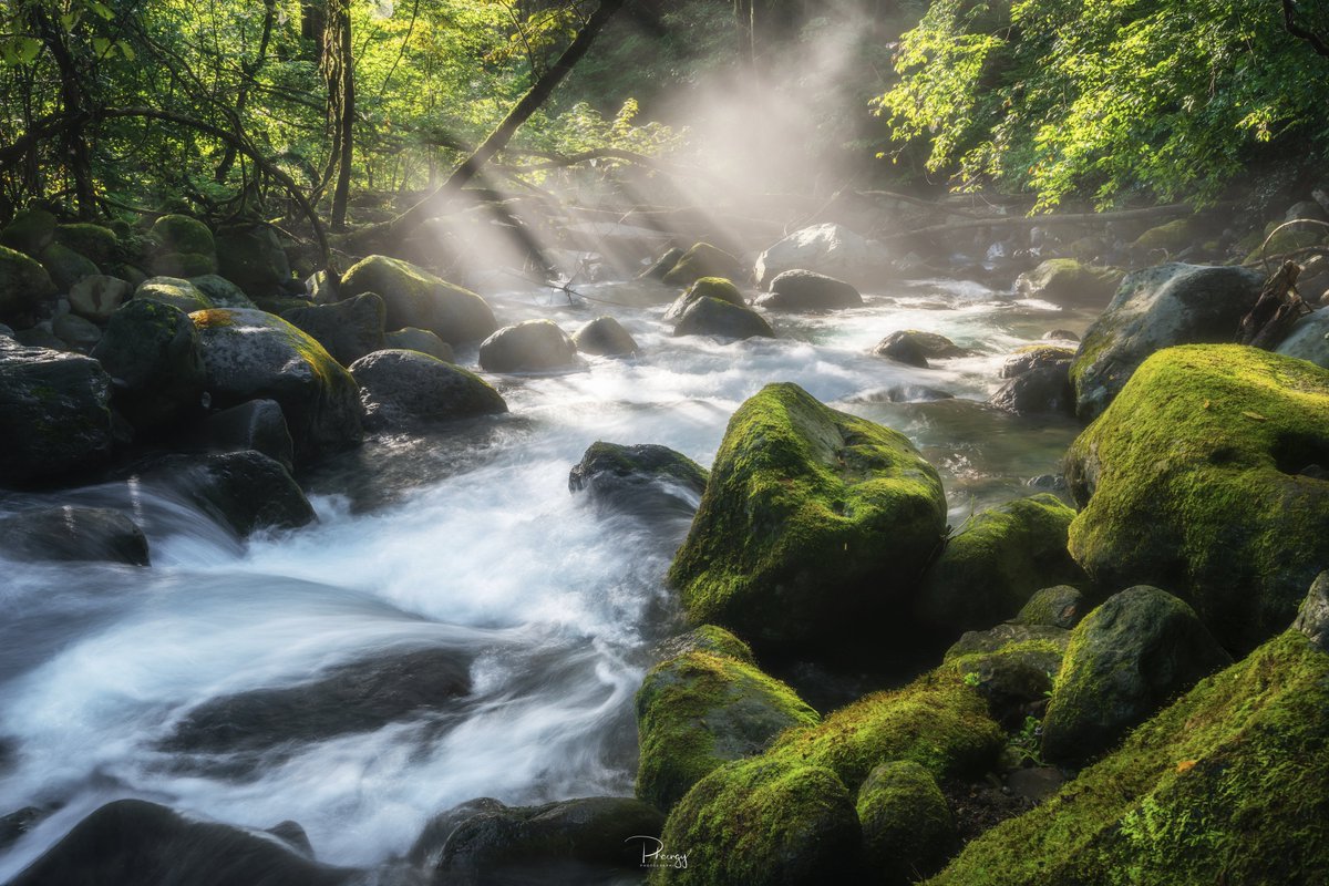 phaengy's tweet image. 光芒が美しい～

#東京カメラ部
#PASHADELIC 
#絶景delic 
#SonyAlpha