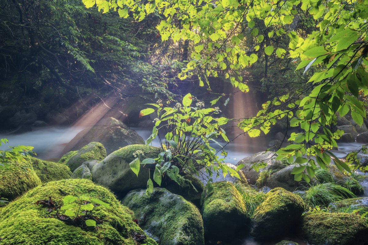 phaengy's tweet image. 光芒が美しい～

#東京カメラ部
#PASHADELIC 
#絶景delic 
#SonyAlpha