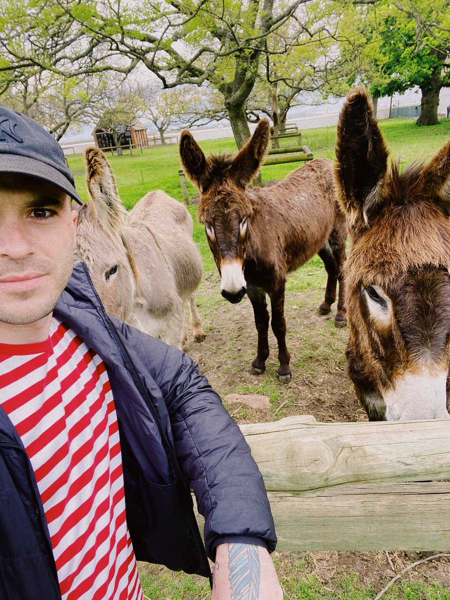 MatthewJMole's tweet photo. My spirit animal, amiright? Today, Jess and I visited the place where got married. Ready to hit the virtual stage tonight with @FrancoisVanCoke and a whole flippin bunch of SA music legends at #fvcenvriende 💜
Tickets: https://t.co/gaVE7ZdgxU https://t.co/MHRYzu0H1M