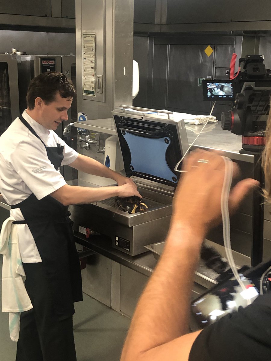 ๐๐๐ ๐ฒ๐๐๐๐โ ๐ต๐๐๐๐ยฎ๐ฝ (@thechefsforum) on Twitter photo Filming the <a href="/mitchellcooper/">Mitchell & Cooper</a> #Crustatun with <a href="/MichaelNizzero/">Michael Nizzero</a> showcasing a humane way to dispatch a lobster๐ฆ#ethical Filming the <a href="/mitchellcooper/">Mitchell & Cooper</a> #Crustatun with <a href="/MichaelNizzero/">Michael Nizzero</a> showcasing a humane way to dispatch a lobster๐ฆ#ethical