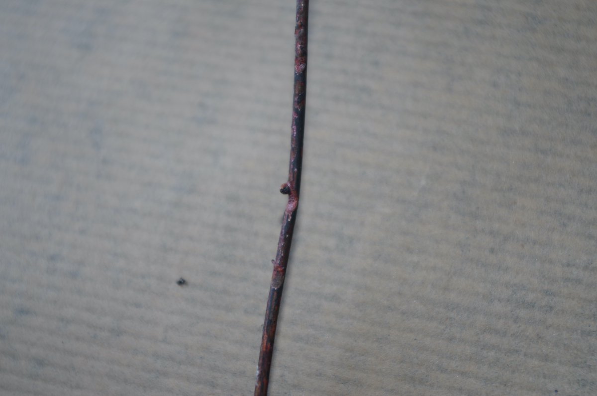 EXPERTIGNIS's tweet image. Une fois n'est pas coutume, parce que le phénomène est fort interessant voici quelques photos d'expertise.
De jolies perles de cuivre qui dans ce cas précis sont la conséquence d'un court-circuit entretenu (installation d'un autre siècle ne disposant pas de protection).