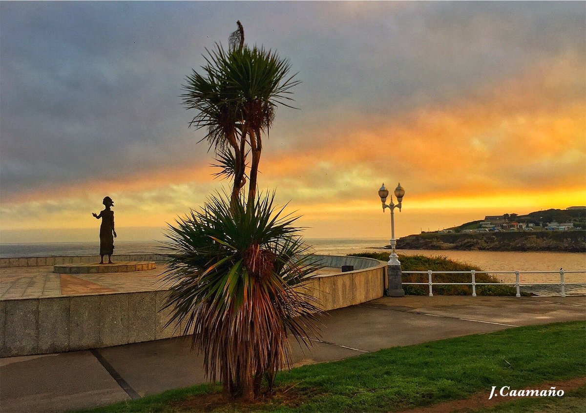 Joaquin Caamaño tweet media