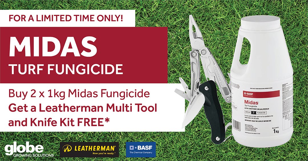 GlobeTurf tweet media