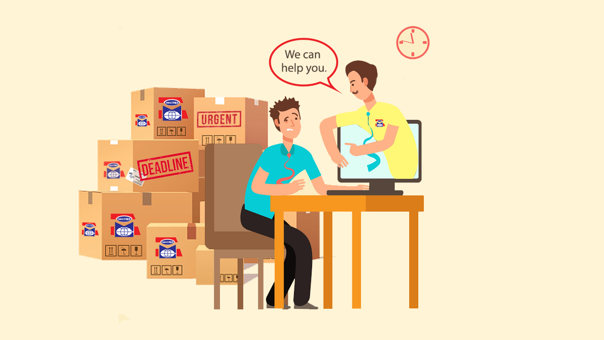 ShreeMaruti_Ind's tweet photo. We love to do what you have no time to do.
Visit our website : https://t.co/WA5ewSS5Qy or Call for more details : +91 9712 666 666
#ShreeMarutiCourierServices #ShreeMarutiCourier #MarutiCourier #MarutiCourierServices #CourierServices #WeSpeakCourier #FastServices #FastDelivery https://t.co/VZ4Pjz2ImF