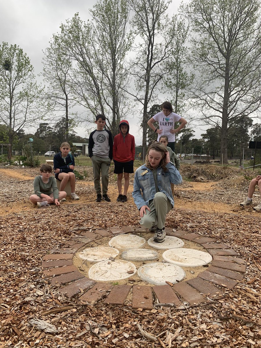 VFortunat tweet media