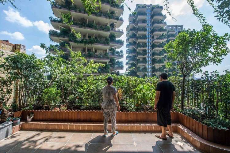 espacia_es's tweet photo. #SabiasQue 
En la Comunidad de Chengdu (China) se dio un caso de viviendas #ecológicas que tuvieron que ser desalojadas debido a una invasión de mosquitos.

Echadle un ojo: https://t.co/cObhH3x3b7