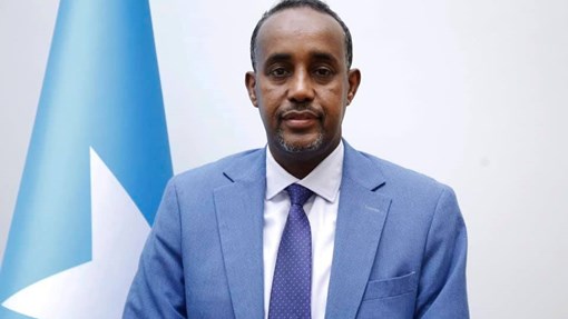 SFRSomalia's tweet photo. #Somalia's most #corrupt Federal #President H.E.Mohamed Abdillahi Farmajo "Been-Hawaas" has appointed his second #Somali #PrimeMinister H.E.Mohamed Hussein with #Swedish #Citizen so, we have seen with ex- Norwegian citizen #PM Hassan Kheyre failed 2 work with him. @SOMediaEmpire https://t.co/s2xOTDz700