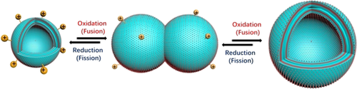 angew_chem's tweet photo. Exosome-Mimetic Supramolecular Vesicles with Reversible and Controllable Fusion and Fission (Tang) https://t.co/SWw7bSwx4z https://t.co/66E2TYzpwa