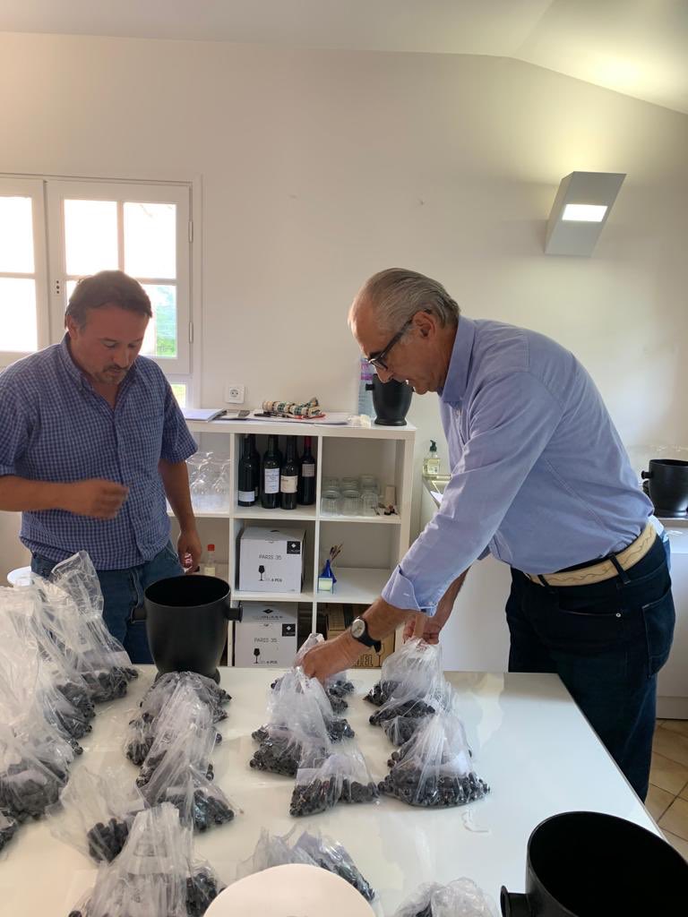 VignoblesSDP's tweet photo. Tasting the grapes from our very best parcels La Vierge and Le Mamelon to make the future Icon Cuvée La Vierge 2020 from our Prieuré de Cénac #cahorsmalbec #winemaking #2020vendange https://t.co/4oiIAyErGL