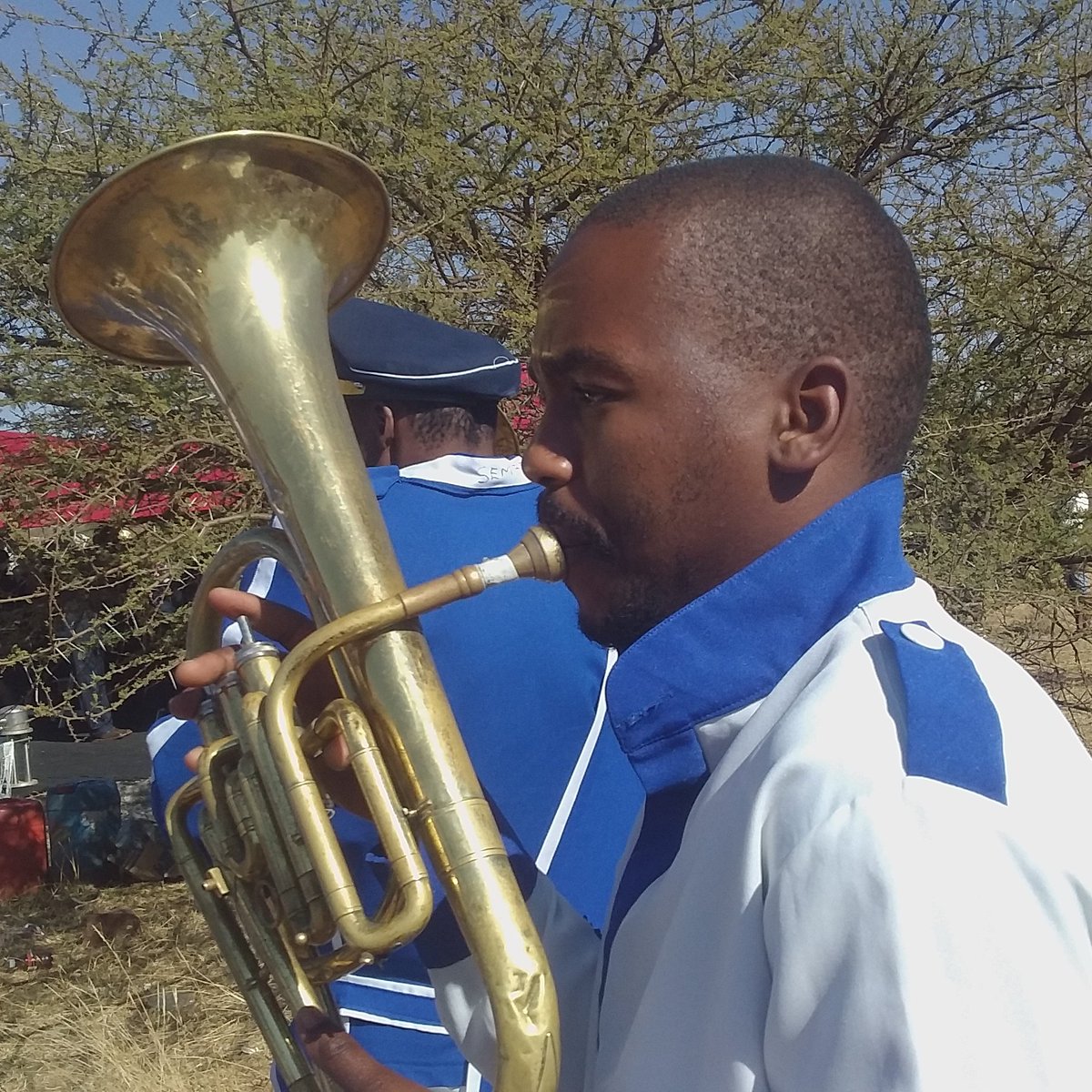 SaltationL's tweet image. #NewProfilePic