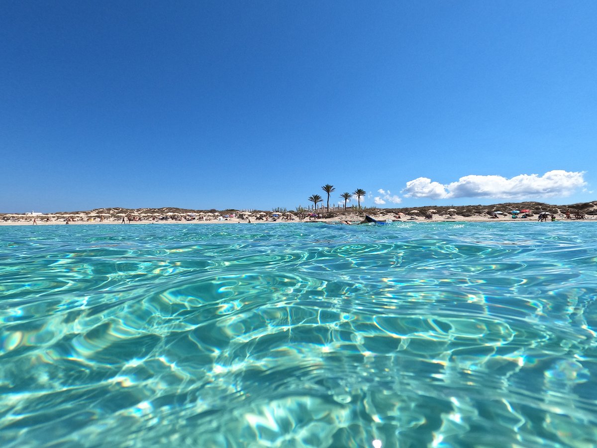 JuanyAndreaRest's tweet photo. The paradise of #Formentera.
--------
El #Paraíso de Formentera.
.
.
#HastaElPróximoVerano https://t.co/DCHCFgQ73D