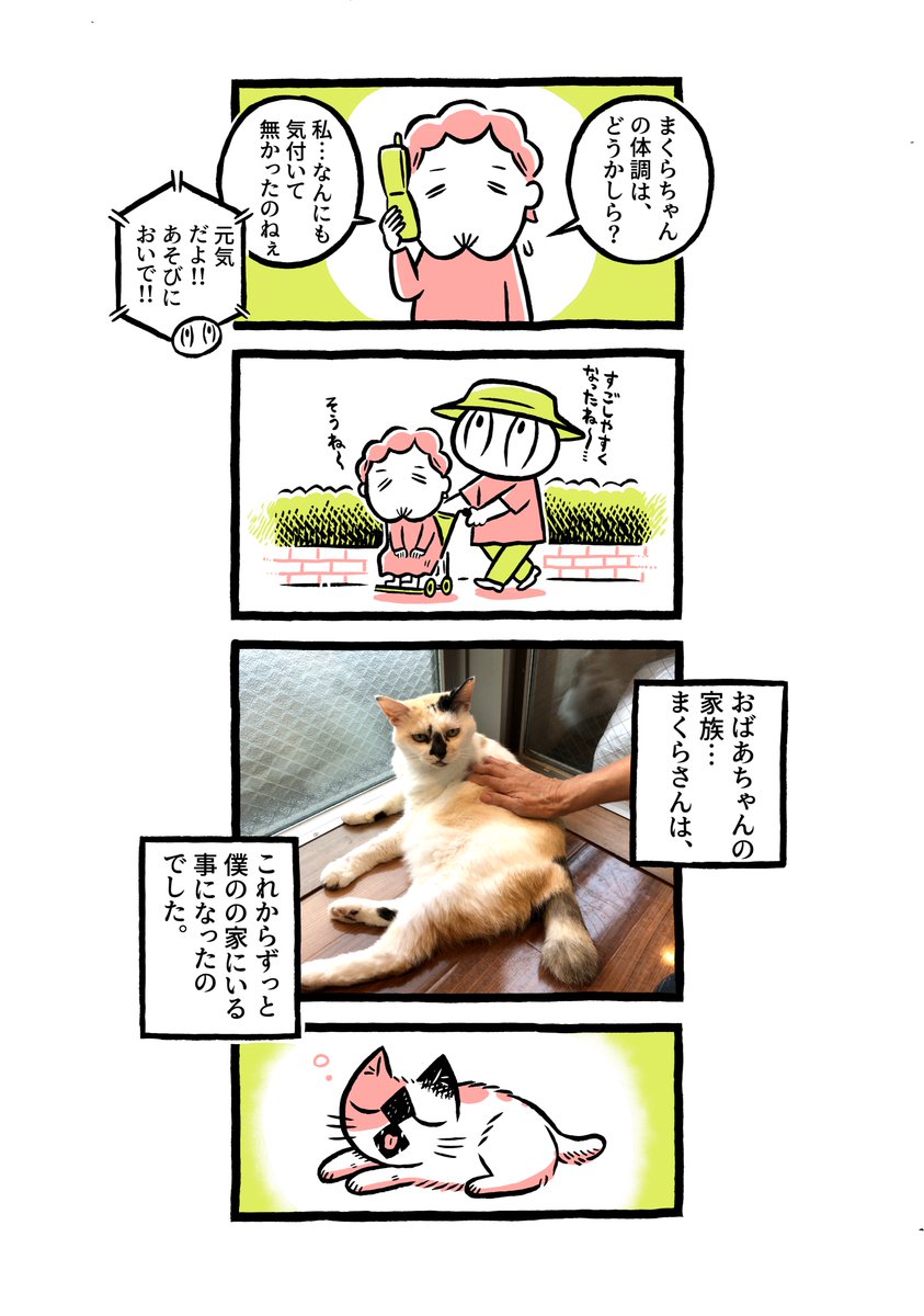 ヨボヨボの迷い猫を保護したら…どうしようもない状況の打開策【16】 