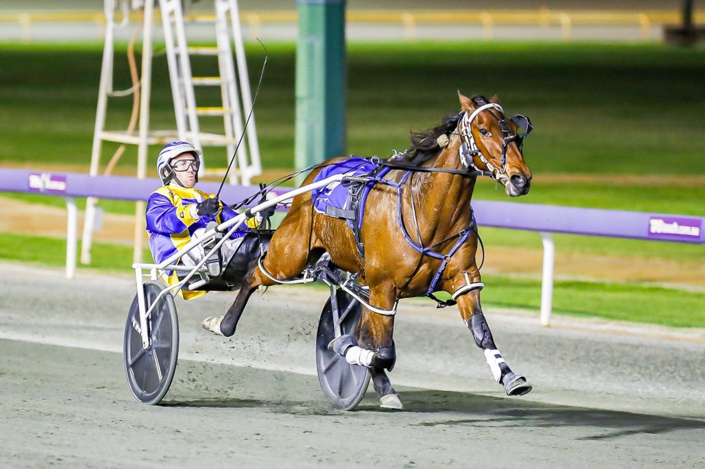 Racing WA - Harness tweet media