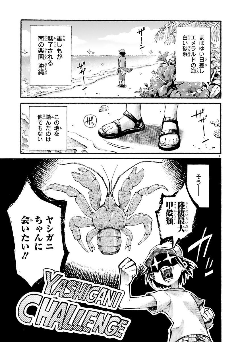 陸上最強の甲殻類・ヤシガニに会いに沖縄へ行った話 (1/5) 