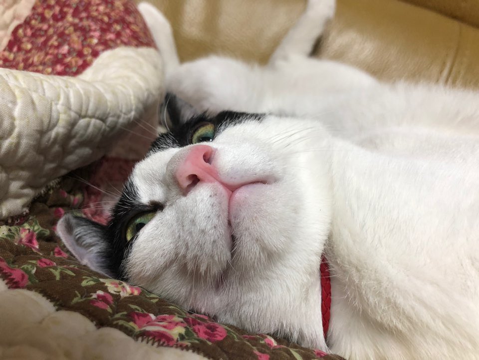 약 일년 전 애기