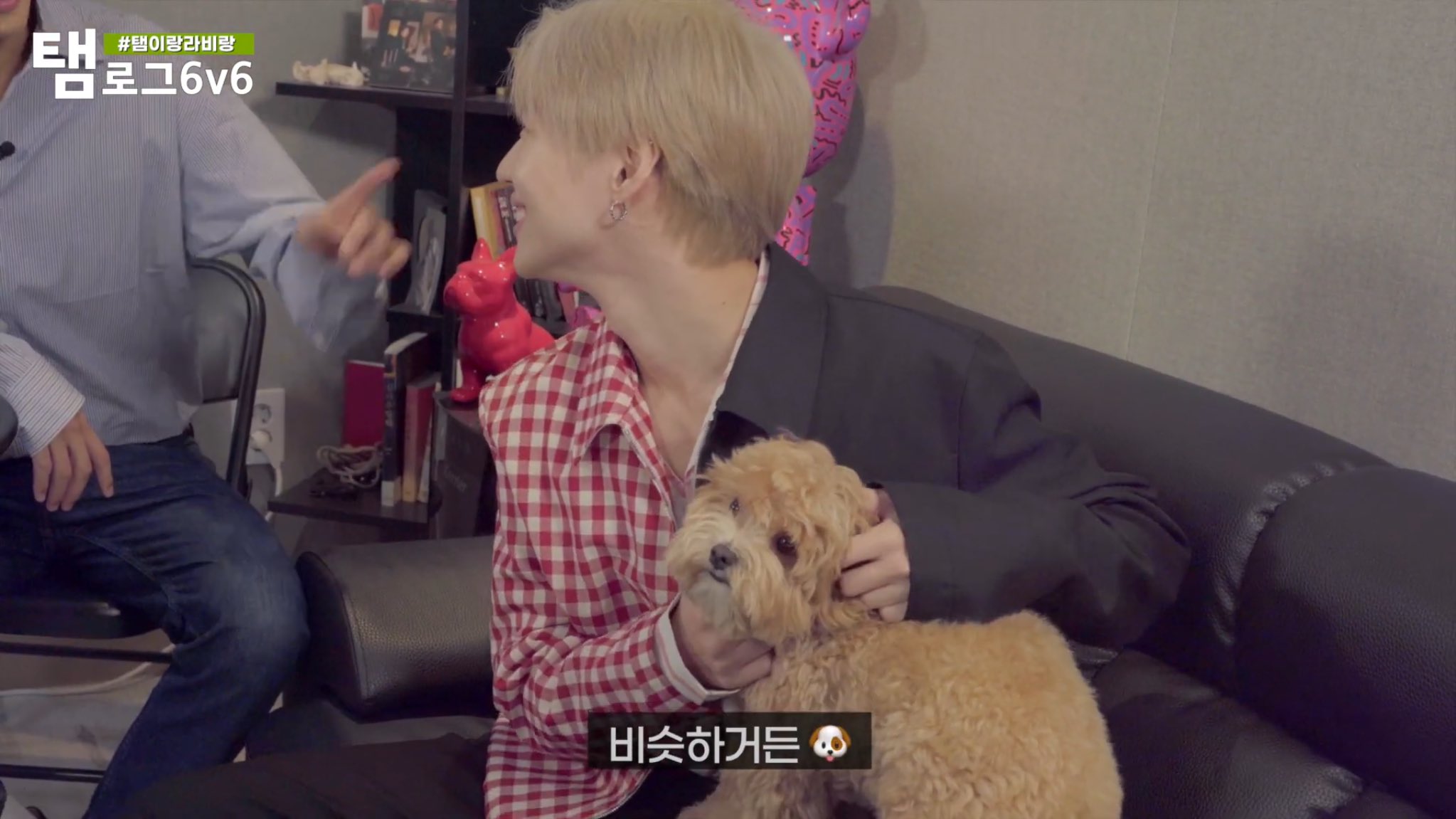 流行語分からないテミンちゃんもスンドルに懐かれまくるテミンちゃんも可愛すぎたㅠㅠㅠㅠㅠㅠ 탬로그 6v6 Taemin 태민 탬이랑라비랑 T Co Owisclk1za Youtubeより