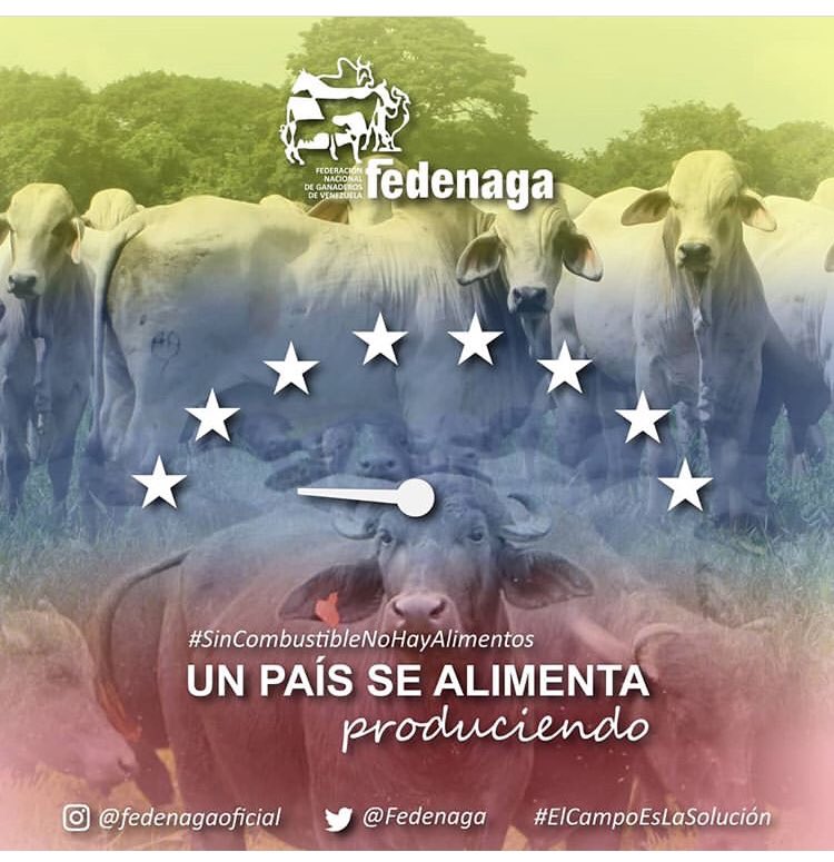 FEPROAGRO BOLIVAR tweet media