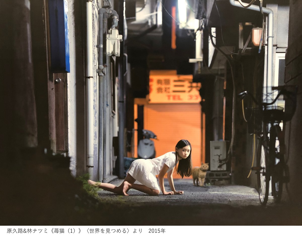 東京都写真美術館 A Twitter あしたのひかり まもなく閉幕 夜の商店街をさまよい歩く謎の猫少女 原久路 林ナツミ 苺猫 1 被写体の少女と共同制作する 世界をみつめる として最初に制作された作品です 展覧会は9 22 火 祝 まで 日本の新進作家 T Co
