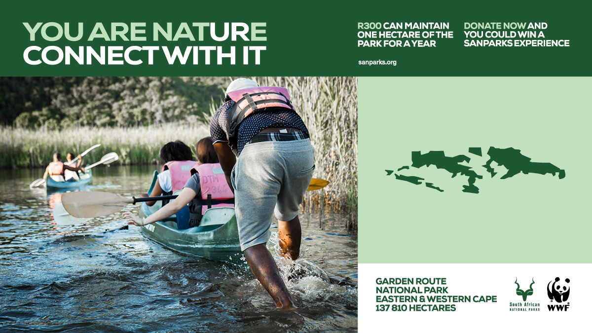 WWFSouthAfrica's tweet photo. You are nature. I am nature. We are all connected to nature! 

As our country recovers from the Covid-19 pandemic, rekindle your love for our beautiful natural heritage in the wild spaces of our national parks: https://t.co/fLW2VTmF5I  #YouAreNature #ConnectWithIt https://t.co/u0dVJLrQQY