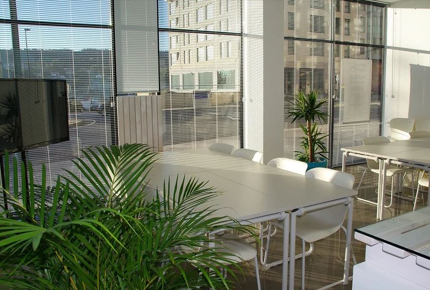 NumadApp's tweet image. En Numad creemos en el cambio.  ¿Cómo afectan las nuevas políticas medioambientales a pymes y autónomos? #medioambiente #pyme #autonomo #freelance #sostenibilidad #worldchange bit.ly/33FBn2l