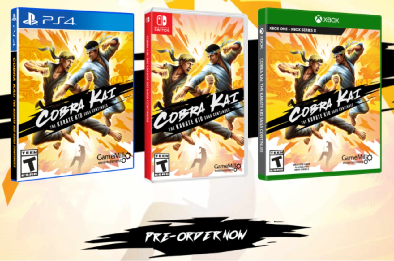  Cobra Kai Karate Kid Saga - Nintendo Switch : Game