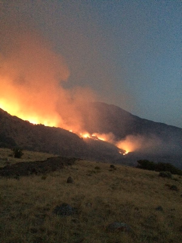 UtahCountyFD's tweet image. Today we take our hat off to one of our  great resources, the Utah County Dozer Operators.   These individuals have helped save many homes, enabled burnout operations, and respond in an instant. The dozer is currently on the Williams Fire punching  in line @UCSO @UtahCountyGov