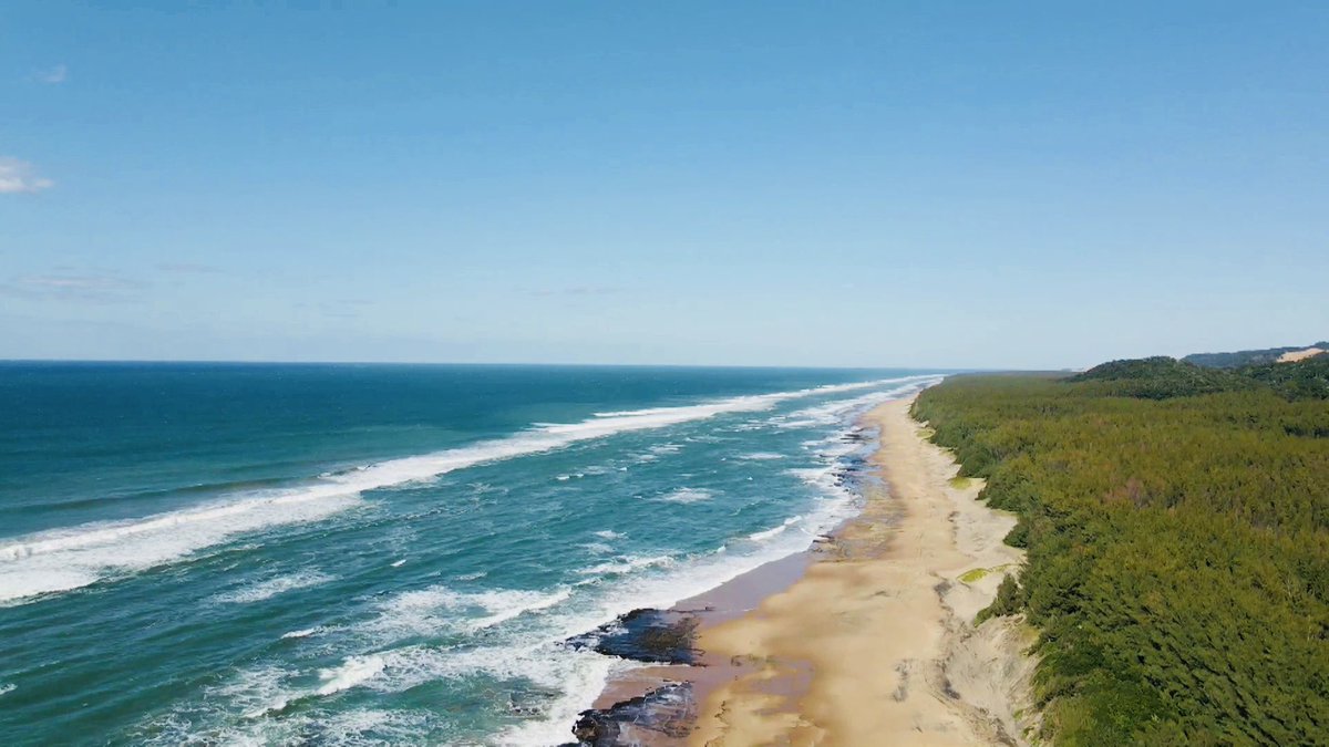 Monday! A story about African Wild Dogs - SA’s most endangered carnivores, an inspiring short film called “Ulwandle Lushile meaning "Meeting the Tides” AND a Game Ranger from <a href="/tembeelephant/">Tembe Elephant Park</a>  takes us on a game drive #OurPlanetOurFuture 
<a href="/Tintswalolodges/">Tintswalo Collection</a> @newfcongress