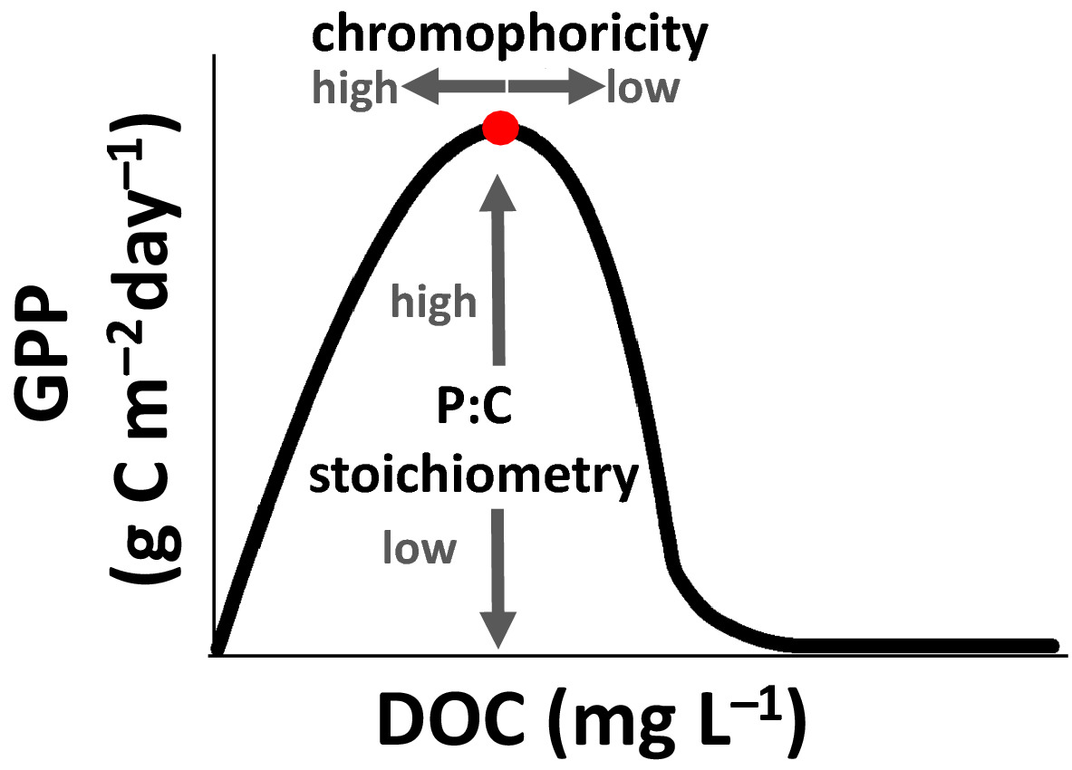 CT_Solomon's tweet photo. Shifting limitation of primary production: experimental support for a new model in lake ecosystems https://t.co/Ecntgpz5hf https://t.co/AhEO4QwynI