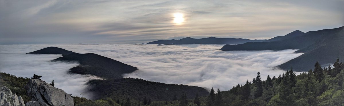 ExploreSylva's tweet photo. Gooooood morning WNC! Here's a gorgeous pic from Mt. Mitchell to wake up to!
.
.
.
#exploresylva #smokymountains #northcarolina #sylva #WNC #wncmountains #northcarolina #blueridgemountains #blueridgeparkway #visitnc #828isgreat #mountains #open828 #fall #sunrise https://t.co/zj00tOhcwn