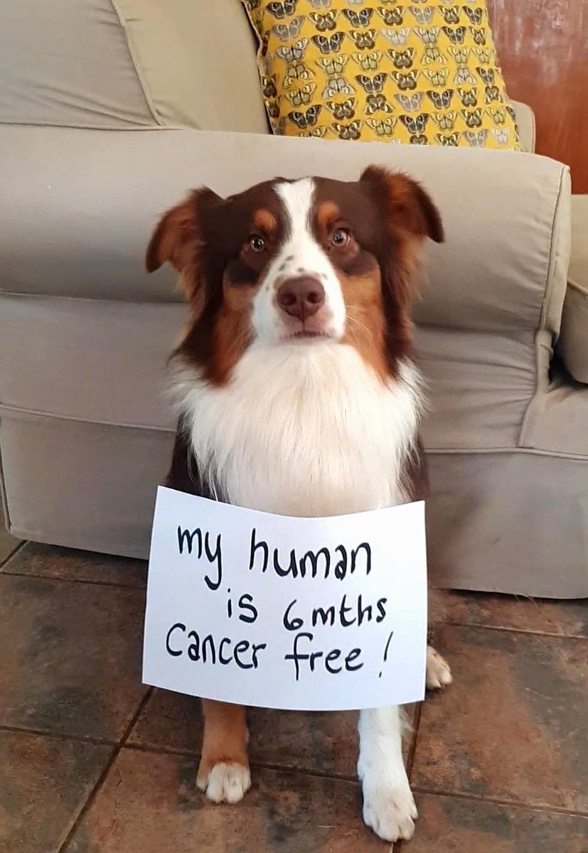 Richard Wright tweet media