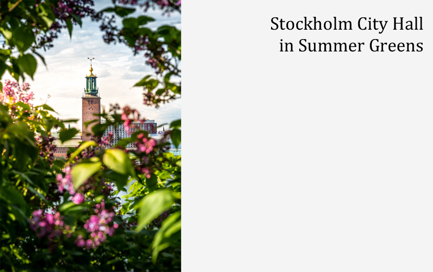 nicklas81's tweet photo. Stockholm City Hall in Summer Greens
The #CityHall (#Stockholm #stadshus) shot here through some green and purple #Lilac bushes.
Fine Art America; https://t.co/JRKinUdkTz
Redbubble; https://t.co/m40GooYoH7
Society6; https://t.co/dYuzVo4KTt
#artprint #wallart #photoart https://t.co/AGpAjuNN4H