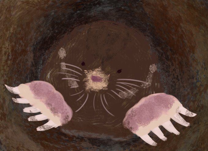 トンネルのtwitterイラスト検索結果 古い順