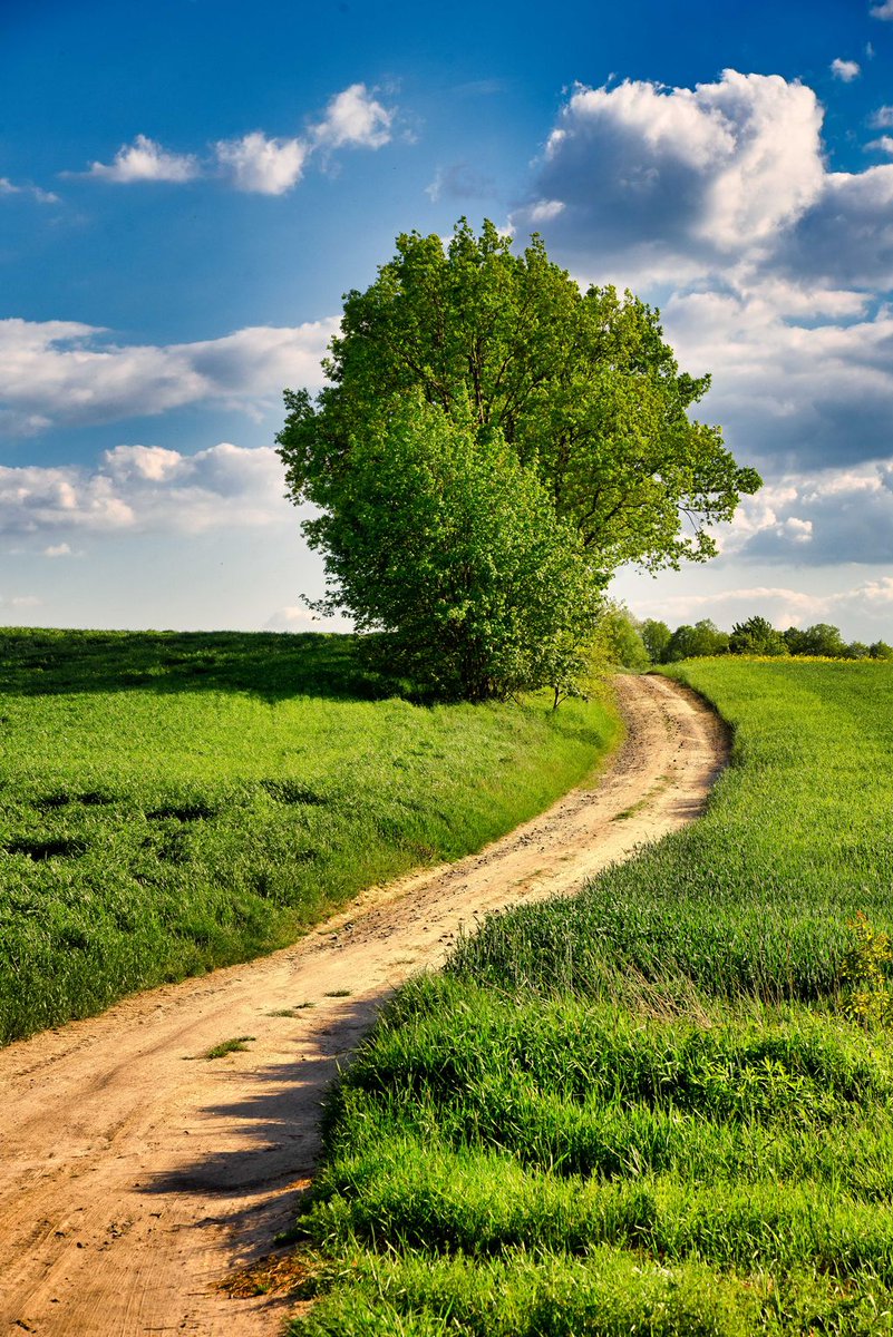 Fresh Friday: Your freshly edited photo early every Friday.
#Luban #Poland #GreenHills #Tree #Trees #Trail #Path #Farmland #TallGrass #GrassyField #Green #FreshFriday https://t.co/D6h37AJWRf