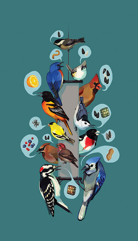PFWCanada's tweet photo. DYK that you can turn your Bird Feeding Hobby into research for conservation! Join Project FeederWatch!  Join/renew before the end of Sep to receive complimentary access to the Bird Academy course Be a Better Birder 2: Color and Pattern.  https://t.co/XuxqfTUFWH https://t.co/on4irHiiqB