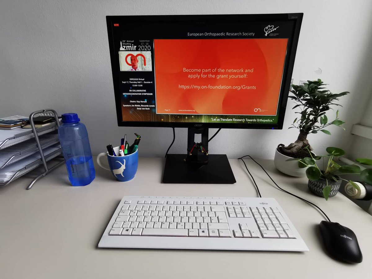 Rita Pereira tweet media