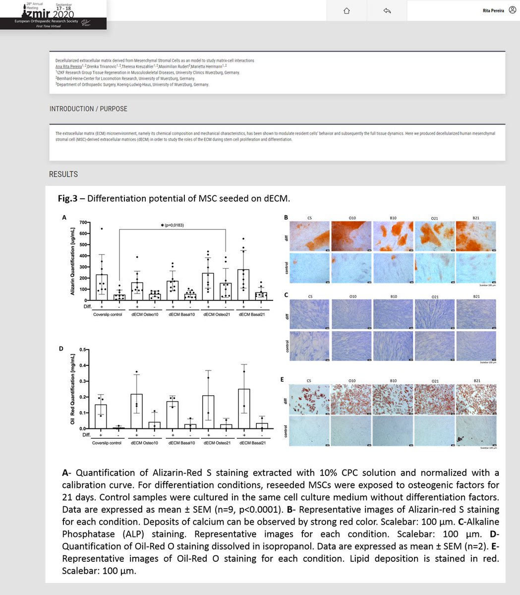 Rita Pereira tweet media