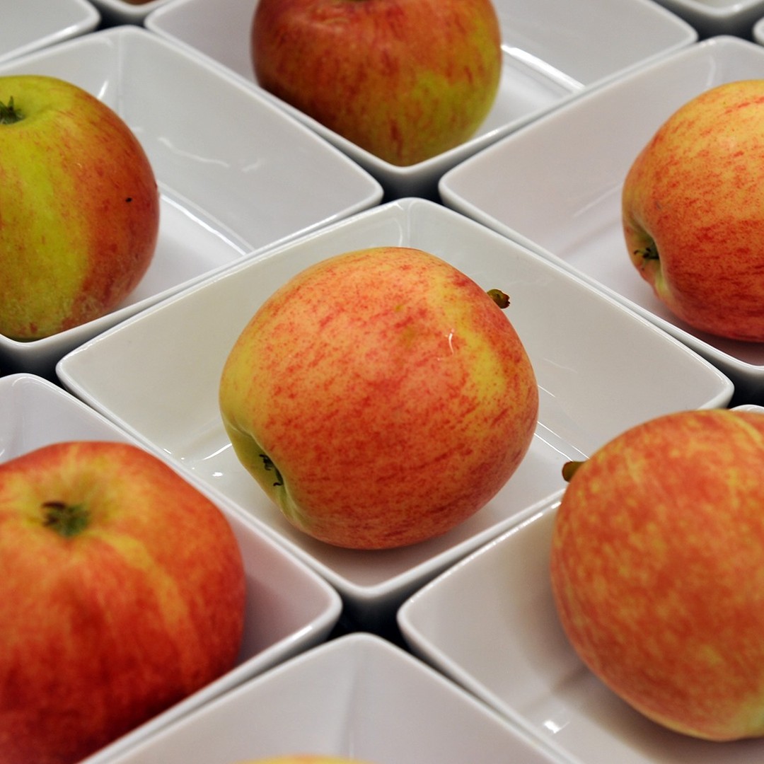 KantonsspitalGR's tweet image. Heute ist Tag des #Apfels. Dafür haben wir vom Schweizer Obstverband rund 300 Kilogramm Äpfel geschenkt bekommen. Die gab's heute für unsere Patienten zum Zmorga und am Mittag im Restaurant für alle Mitarbeitenden. Herzliches #Merci für den Extra-Vitaminschub. #tagdesapfels