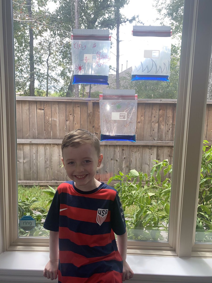 Our 1st grade virtual students learned about the weather and the water cycle this week! Here is our hands-on water cycle experiment. #egetakingflight <a href="/humbleisd_ege/">Elm Grove Elementary</a> <a href="/humbleisd/">Humble ISD</a> <a href="/HumbleISD_PL/">Humble ISD PL</a>