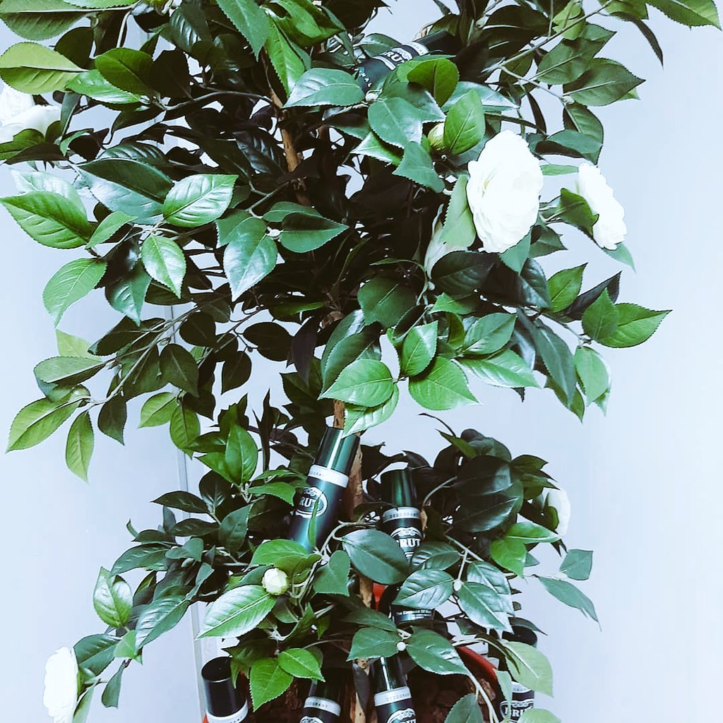 nkosieb1's tweet image. Indeed the tree is original brut.thank you manbox the pack just arrived i will definitely test and review #manbox #brutsouthafrica #TrustYourEssence #EssenceOfMan #suitup ##manboxbrut