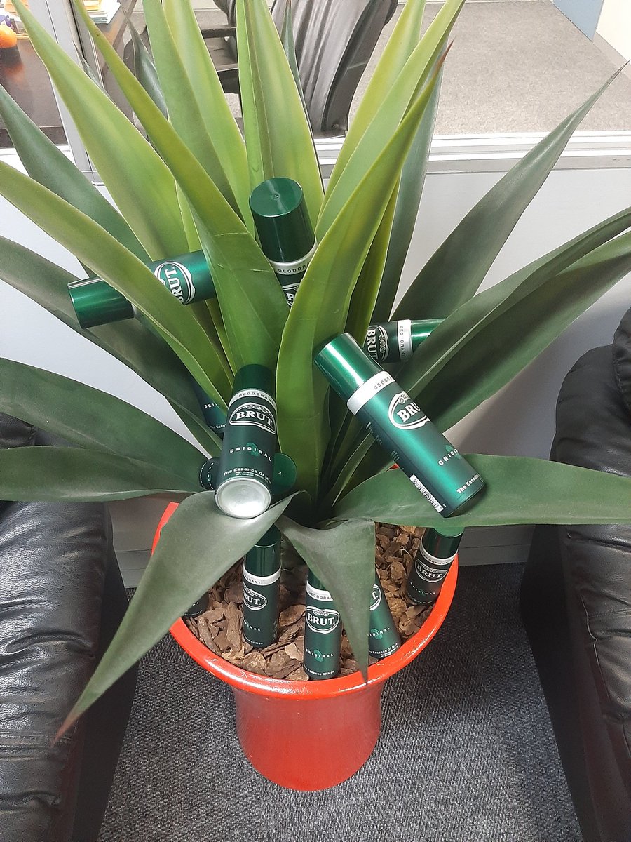 nkosieb1's tweet image. Indeed the tree is original brut.thank you manbox the pack just arrived i will definitely test and review #manbox #brutsouthafrica #TrustYourEssence #EssenceOfMan #suitup ##manboxbrut