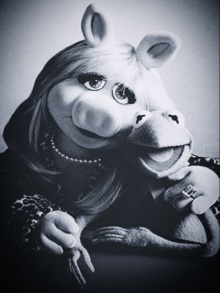 DaveToDarwin's tweet photo. @7IM37 Woputain mais non quoi ... ๐ข
Notre Mel Blanc
#RIPRogerCarel #RIPKermit #RIPAsterix https://t.co/8zgQmGxL9q