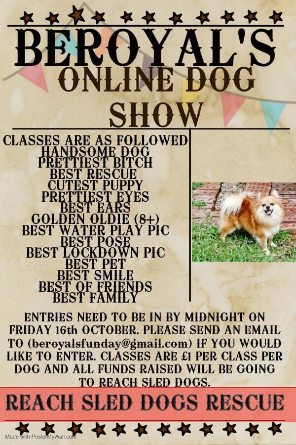 We are holding another online dog show. Want to get involved? Then all you need do is either email beroyalsfunday@gmail.com with your pup(s) name, which category(ies) you would like to enter and a contact number (so they can contact the winners)
#dogsoftwitter #dogsofuk